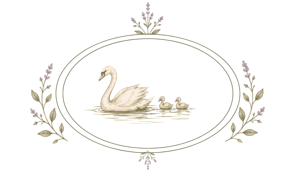 Casa Cisne
